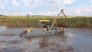 Removal of the Aquatic Macrophyte Thypha domingensis from Lakes and Rivers