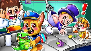 Paw Patrol 🐾 BUT Brewing Cute Baby Factory!! 👼✨ Very Funny Life Story - Paw Patrol Ultimate Rescue