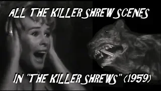 All the Killer Shrew Scenes In "THE KILLER SHREWS" (1959)