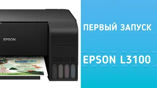 Epson L3100 | Первый запуск