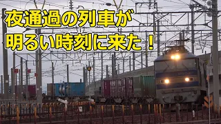 遅れ貨物が多数やってきた！　明るい時刻に金沢で見られない列車を解説