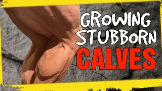Best & Worst Exercises to Build Stubborn Calves