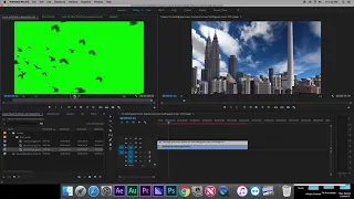 Adobe Premiere Pro Tutorials: Ultra Keying