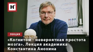 «КОГНИТОМ ― НЕВЕРОЯТНАЯ ПРОСТОТА МОЗГА». ЛЕКЦИЯ АКАДЕМИКА КОНСТАНТИНА АНОХИНА