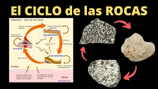 🤠 El CICLO de las ROCAS y sus Etapas - Geología ⚒ Explicación completa