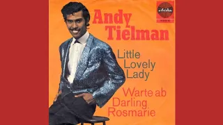 The Tielman Brothers - Little Lovely Lady (1965) [Stereo]