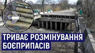 На Житомирщині на території Народицької громади триває розмінування та знищення боєприпасів