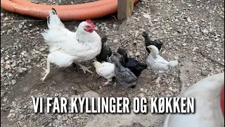 Vi får kyllinger og køkken | Livet på gården Ep.5