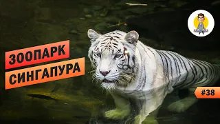 Зоопарк Сингапура - Полный Восторг! Amazing Singapore Zoo