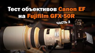 Тест объективов Canon EF на Fujifilm GFX. Часть 2