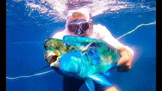 SPEARFISHING on ULTRA-REMOTE Island {Catch Clean Cook} Pagan, CNMI