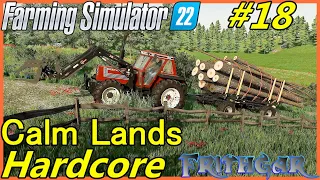 Let's Play FS22, Calm Lands Hardcore #18: Selling More Logs!