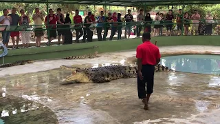 Crocodile show at Langkawi crocodile farm, Malaysia