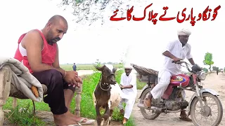 eid Wapari aur Chalak  Gay Airport/Helmet/ Top Funny |   Punjabi Comedy Video 2023 | Chal TV