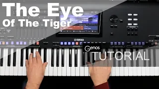 Genos Tutorial: «The Eye Of The Tiger» (Discover Genos)