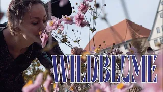 Wildblume - Musikvideo