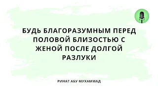 1557. Будь благоразумным перед половой близостью с женой после долгой разлуки || Ринат Абу Мухаммад