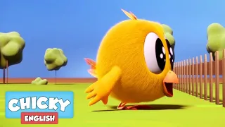 Chicky | Funny Chicky 2023 | BIG SURPRISE | Chicky Cartoon in English for Kids | New episodes