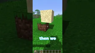 Vertical Slabs in Minecraft Vanilla