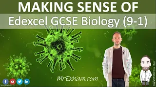 Edexcel GCSE Biology (9-1) Course Overview