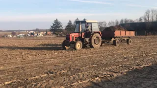 Zetor 7711 w akcji🔥.Akcja obornik w gr.Depta(RYK ZETORA)😻