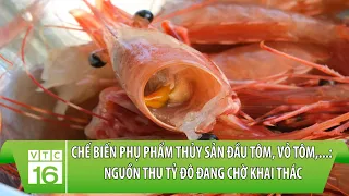 Chế biến phụ phẩm thủy sản đầu tôm, vỏ tôm,...: Nguồn thu tỷ đô đang chờ khai thác | VTC16