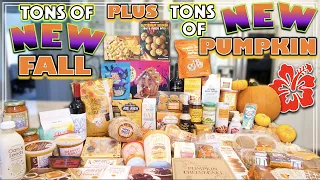 THE MOST NEW PUMPKIN/FALL ITEMS AT TRADER JOES EVER!