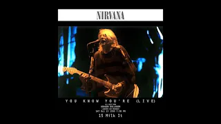 15 Milk It - Nirvana Live @ Aragon Ballroom, Chicago 10 23, 1993