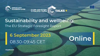 EU Clusters Talks: Sustainability and wellbeing: The EU Strategic Foresight Report