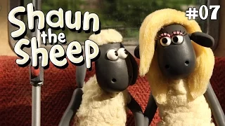 Shaun the Sheep | Love is in the air! | Full Episodes