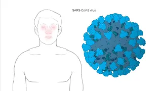 How does Moderna's Coronavirus vaccine work?