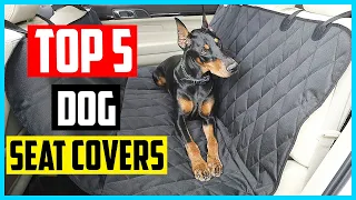 ✅ The 5 Best Dog Seat Covers for Your Car 2024 Review