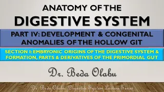 DEVELOPMENT OF THE DIGESTIVE SYSTEM PART I - FORMATION & DERIVATIVES OF THE PRIMORDIAL GUT TUBE