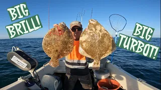 BIG TURBOT! BIG BRILL! - Drifting Sandbanks in HEAVY Overfalls for BIG FLATFISH!