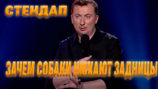 Стендап про Теорию Дарвина угар прикол порвал зал - ГудНайтШоу Квартал 95