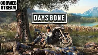 Days Gone - Мир после катастрофической пандемии - Постапокалиптическая Америка - №4