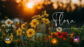 Dreamy Piano and Guitar Music for a Full Night of Relaxation