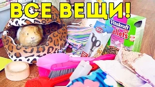 Все вещи морских свинок / Что нужно для морской свинки? / SvinkiShow