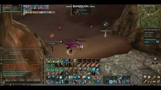 L2 Amerika Storm Screamer PvP ^^