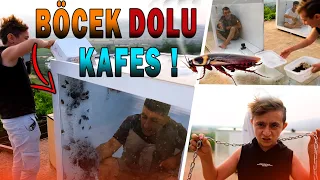 BÖCEK DOLU KAFES’TEN ! ( İLK KİM ÇIKACAK ? !! ) @muratsungurtekin8674