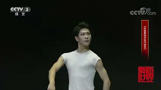 [舞蹈世界]《民族舞技术技巧组合》 表演：中央民族大学舞蹈学院2018级教育班|第艺流