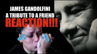 James Gandolfini Tribute to a Friend - REACTION!!!