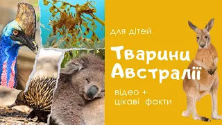 18 ТВАРИН АВСТРАЛІЇ розвиваючі відео для дітей. Назви тварин та цікаві факти. Українською мовою.