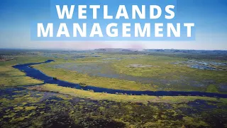 Wetlands Management