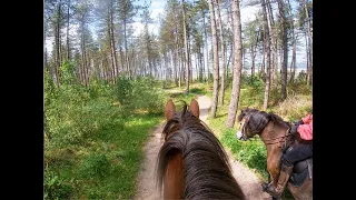 Wow... amazing riding trails through beautiful Newborough Warren!