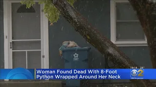 Woman Found Dead With Python Around Neck
