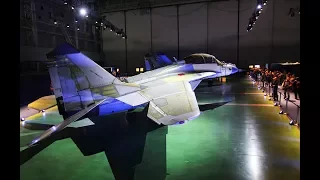 Russian aircraft designer reveals details of MIG 35 demonstration flight