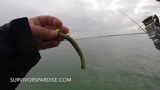 Lake St Clair in Bad Weather - Funny Phone Call From Wife