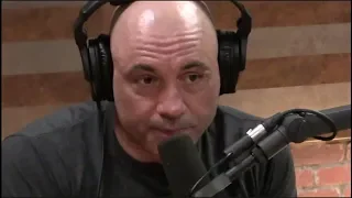 Joe Rogan | The Discipline of Learning w/Russell Brand