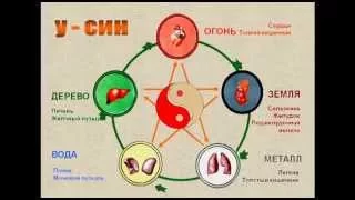 Теория пяти первоэлементов (У Син)